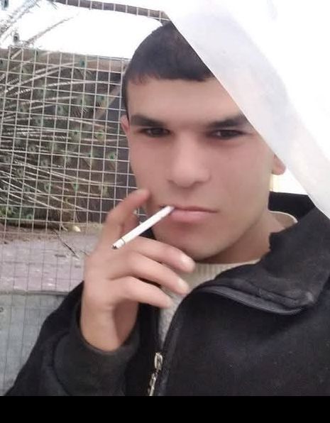 ���������� ������, ���� ������� Yurik, 26 ���, ������������ ��� ������, ����� � ���������