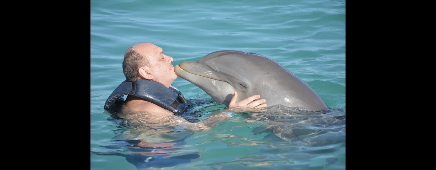  ,   Damir, 54 ,   c 