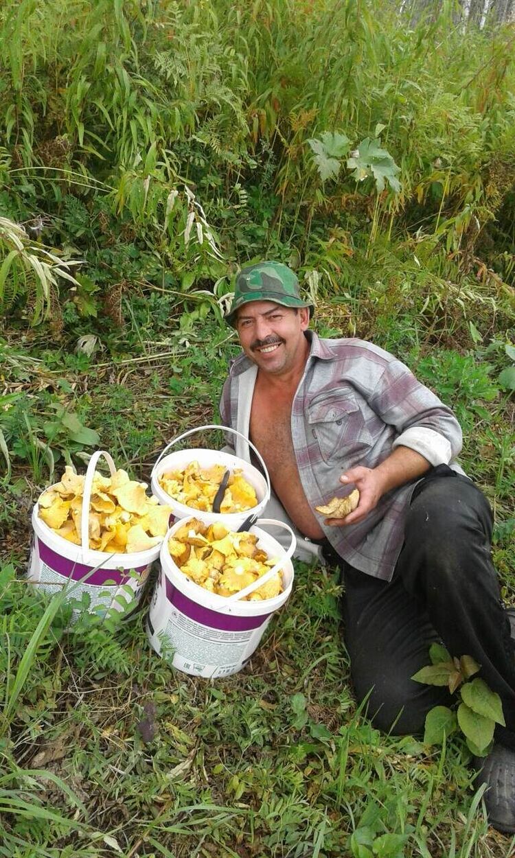 ���������� ����������, ���� ������� ��������, 51 ���, ������������ 