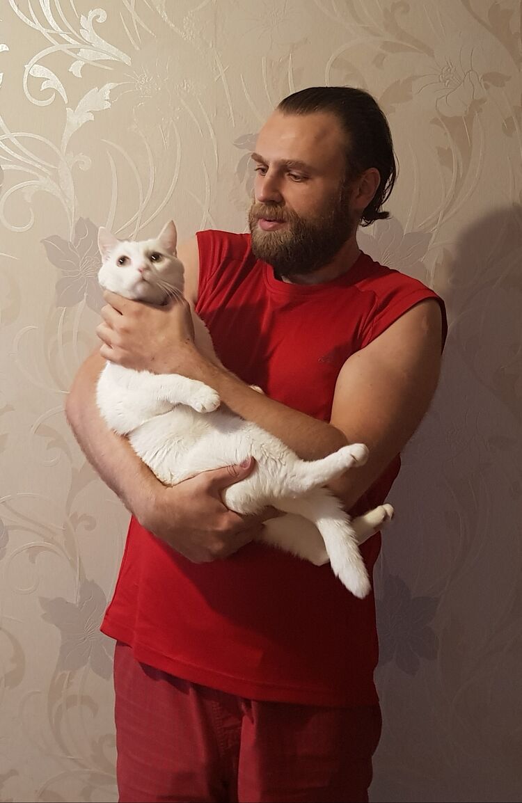  39880594  , 37 ,    -