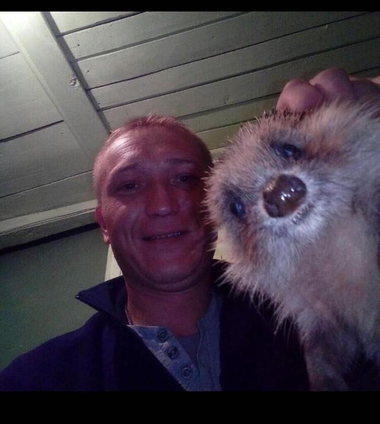 ���� 26642824 ������� �������, 41 ���, ���� ���������� � ����������