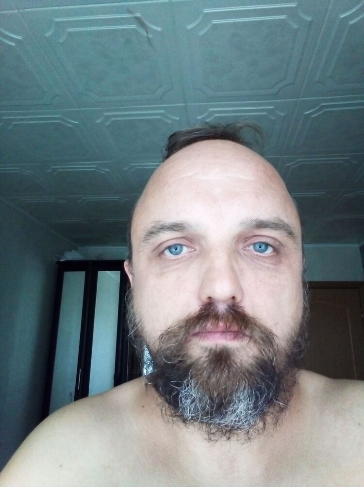  37683684  , 43 ,    
