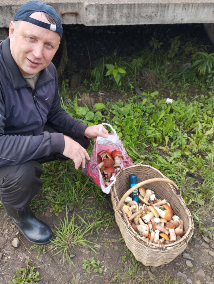 ���������� �����, ���� ������� ����, 50 ���, ������������ ��� ������, ����� � ���������