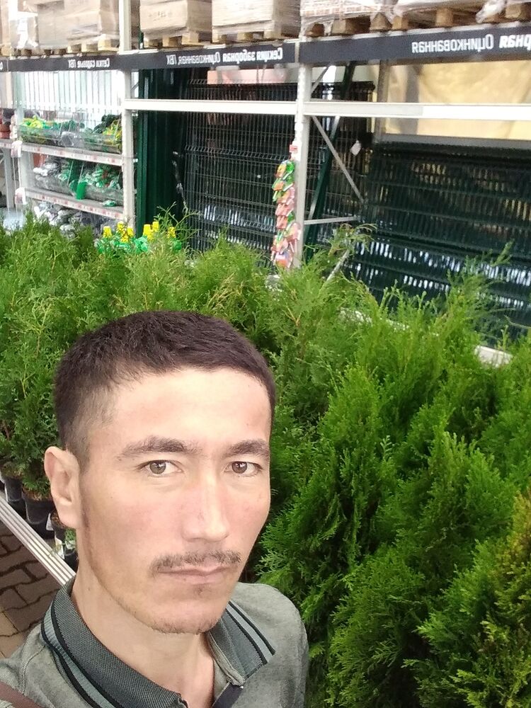  29568854  , 36 ,    -