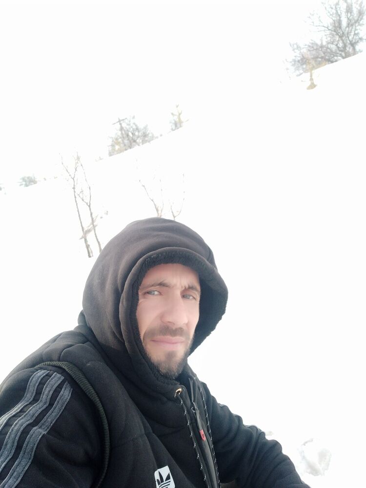  20334384  , 41 ,    