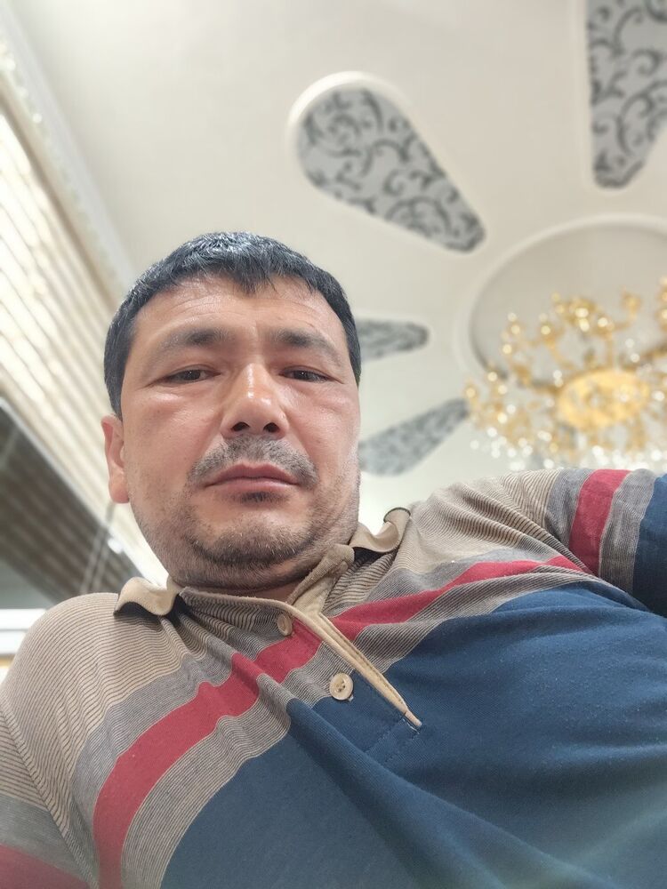  52786684   , 31 ,    