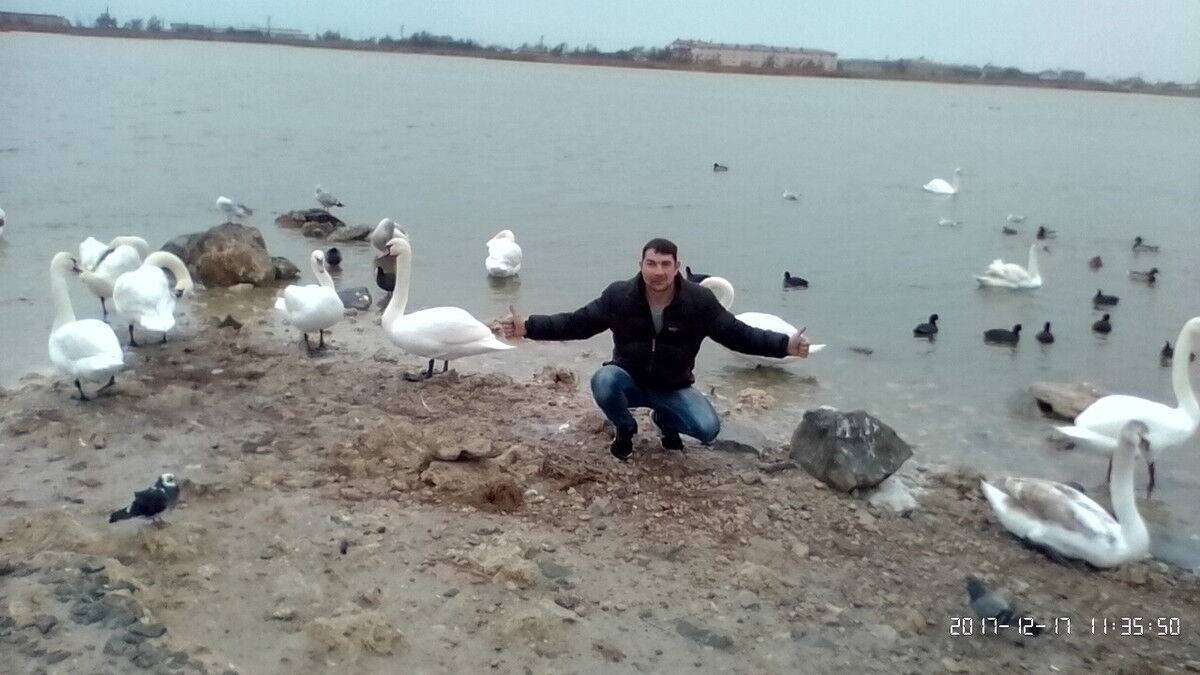  ,   Roman, 46 ,  