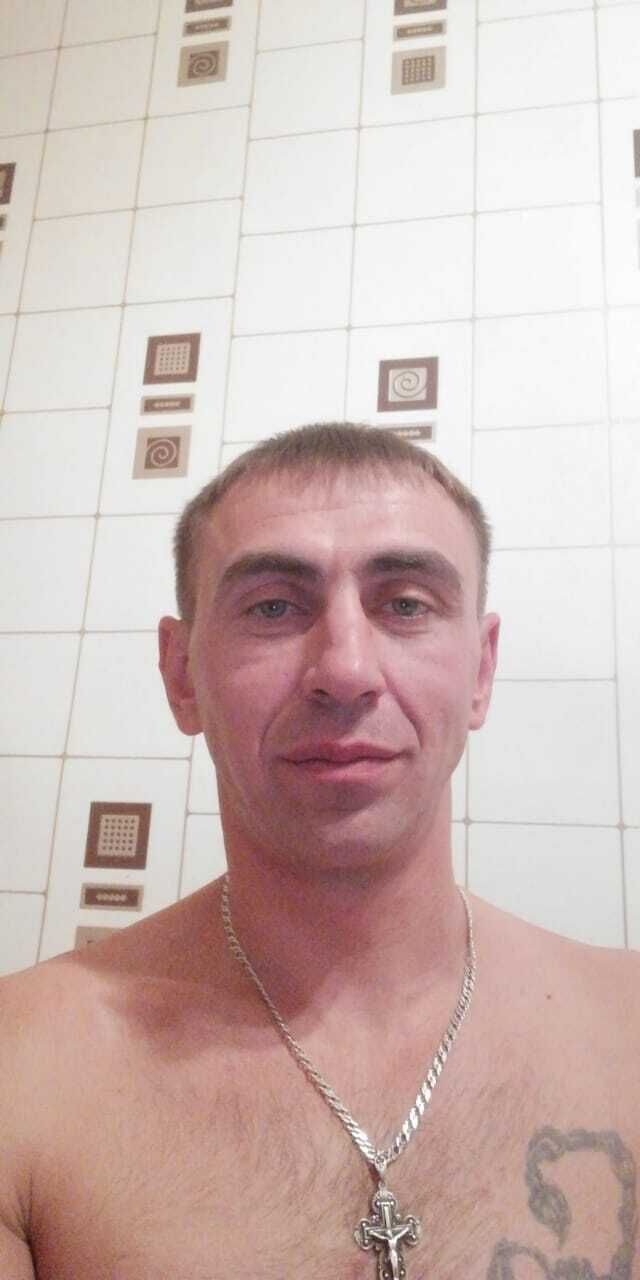  33658664  , 38 ,    