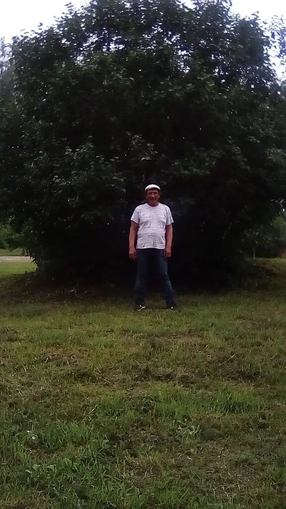  32514454  , 55 ,    