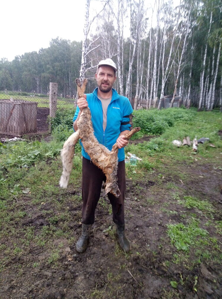 ���������� ���������, ���� ������� ����, 44 ����, ������������ ��� ����� � ���������, c�������� ���������