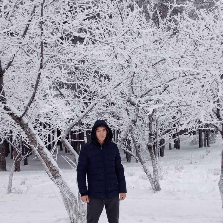 ���� 31036574 ������� ������, 27 ���, ���� ���������� � �������