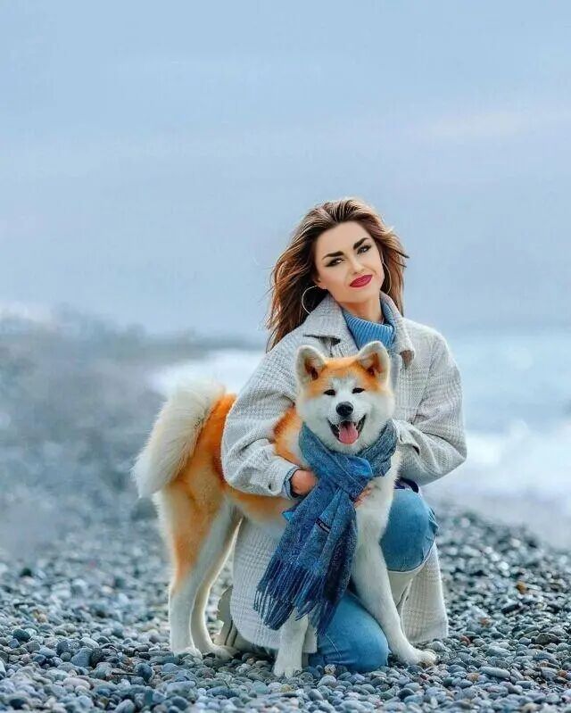 ���� 38170964 ������� ����, 42 ����, ���� ���������� � ������������