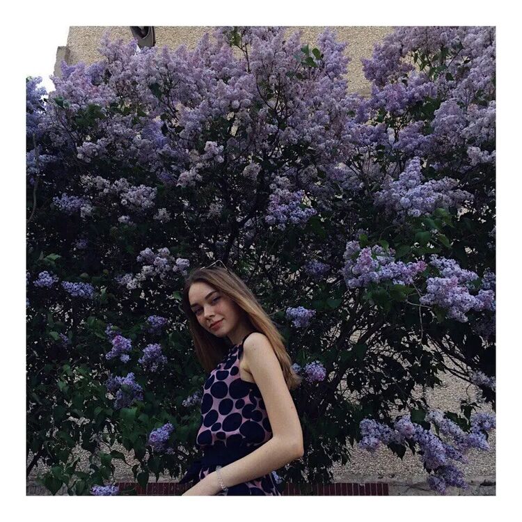 ���������� ������, ���� ������� �����, 24 ����, ������������ ��� ������, ����� � ���������