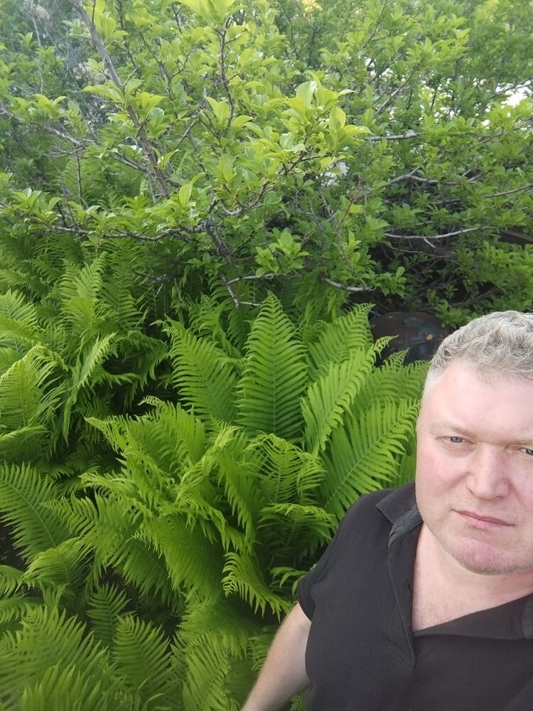  ,   , 48 ,   c 
