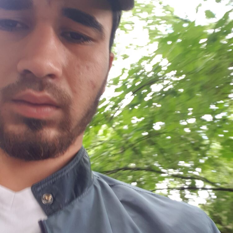  29803494  , 25 ,    -