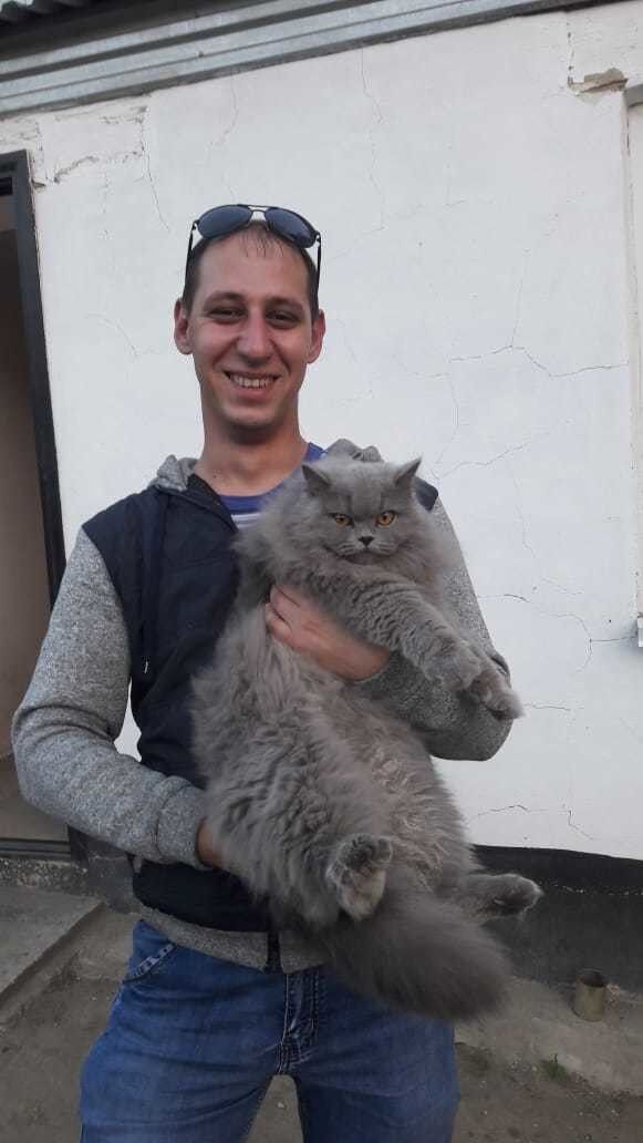 ���� 18871194 ������� ����, 33 ����, ���� ���������� � �����