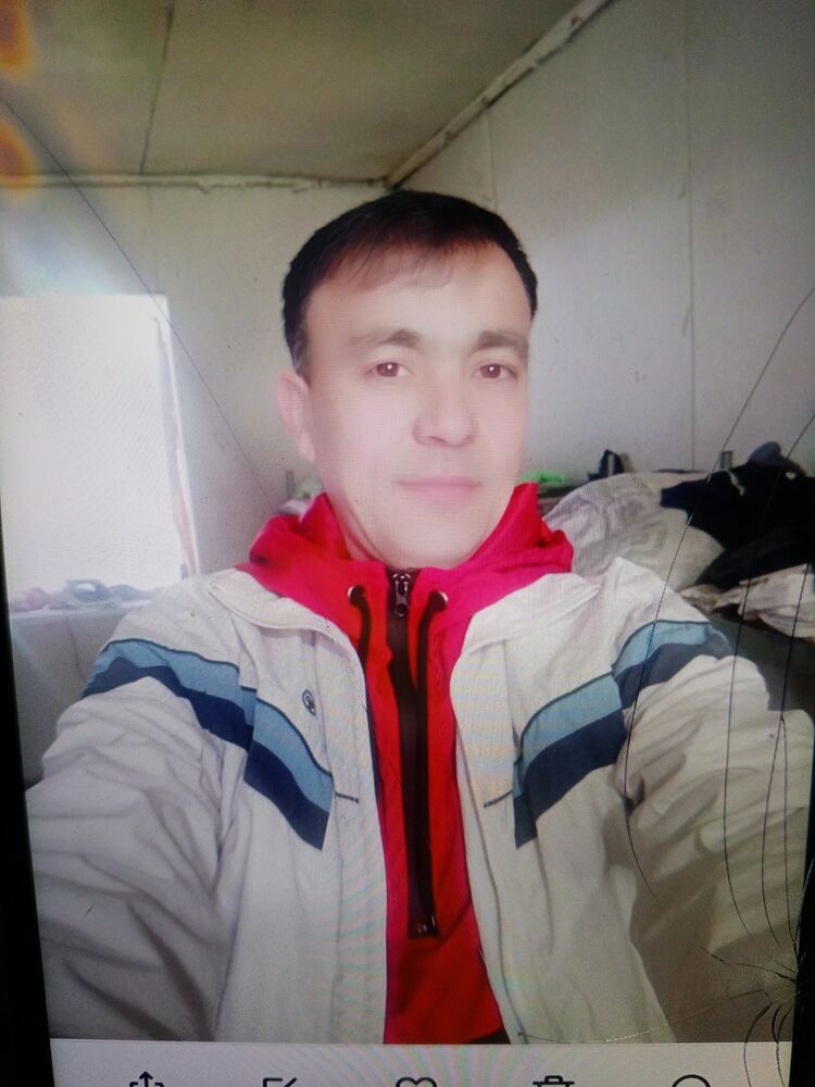 ���� 43135214 ������� ������, 43 ����, ���� ���������� � ������