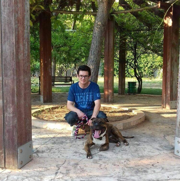 ���������� ����, ���� ������� ������, 39 ���, ������������ ��� ������, ����� � ���������