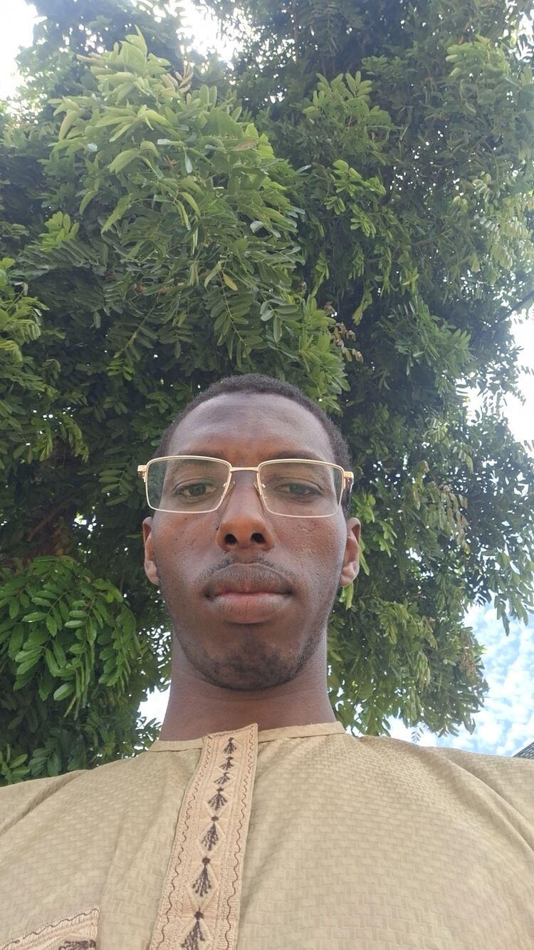  54288804  Abaca, 27 ,    -