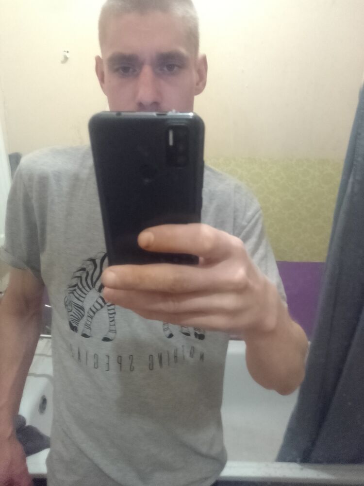  41955554  , 31 ,    -