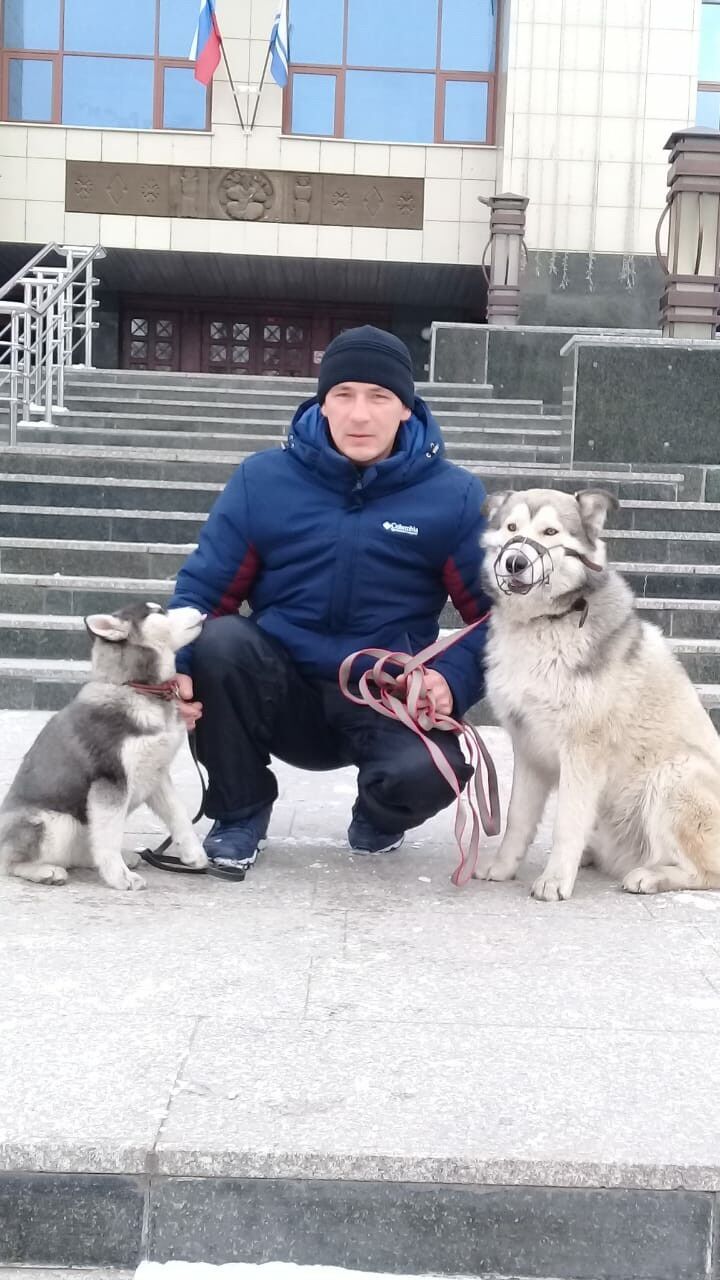  -,   , 37 ,   ,   