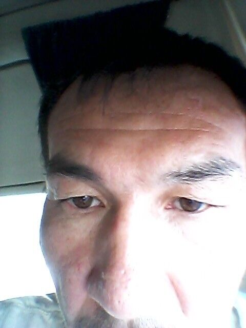 ���� 16689354 ������� �����, 44 ����, ���� ���������� � �������