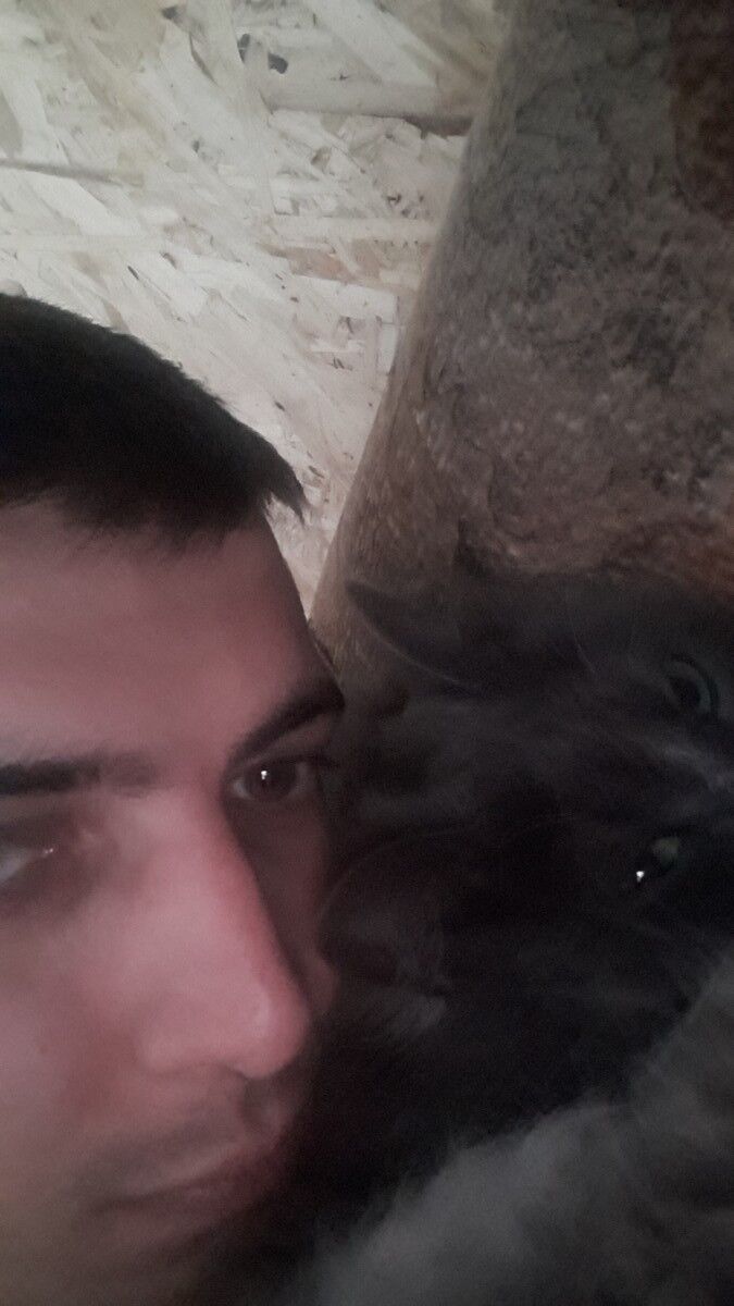 ���� 17728374 ������� �����, 32 ����, ���� ���������� � ���