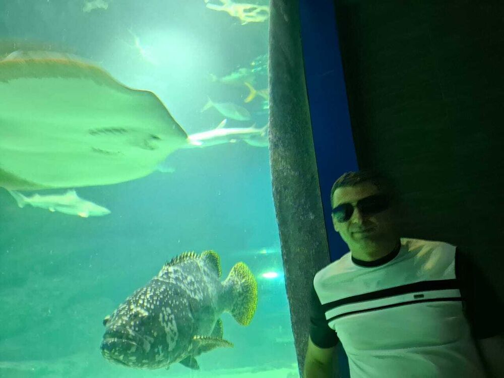 ���������� ������, ���� ������� ������, 36 ���, ������������ ��� ������, ����� � ���������