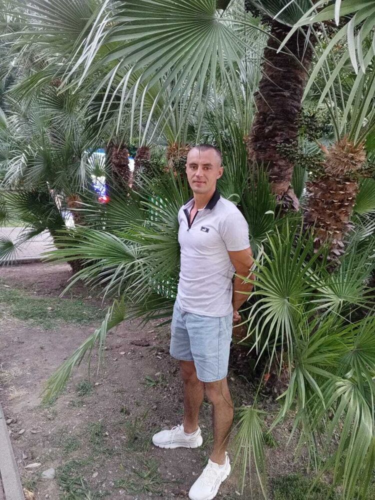  50864354  , 31 ,    