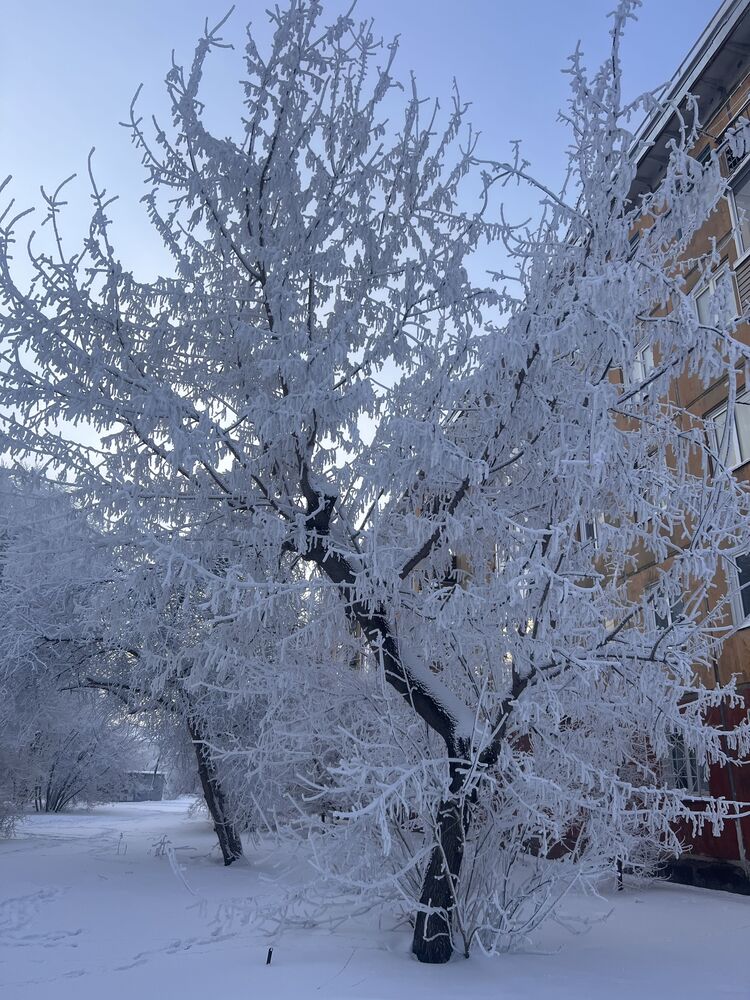 ���������� ����������, ���� ������� �����, 30 ���, ������������ ��� ���������