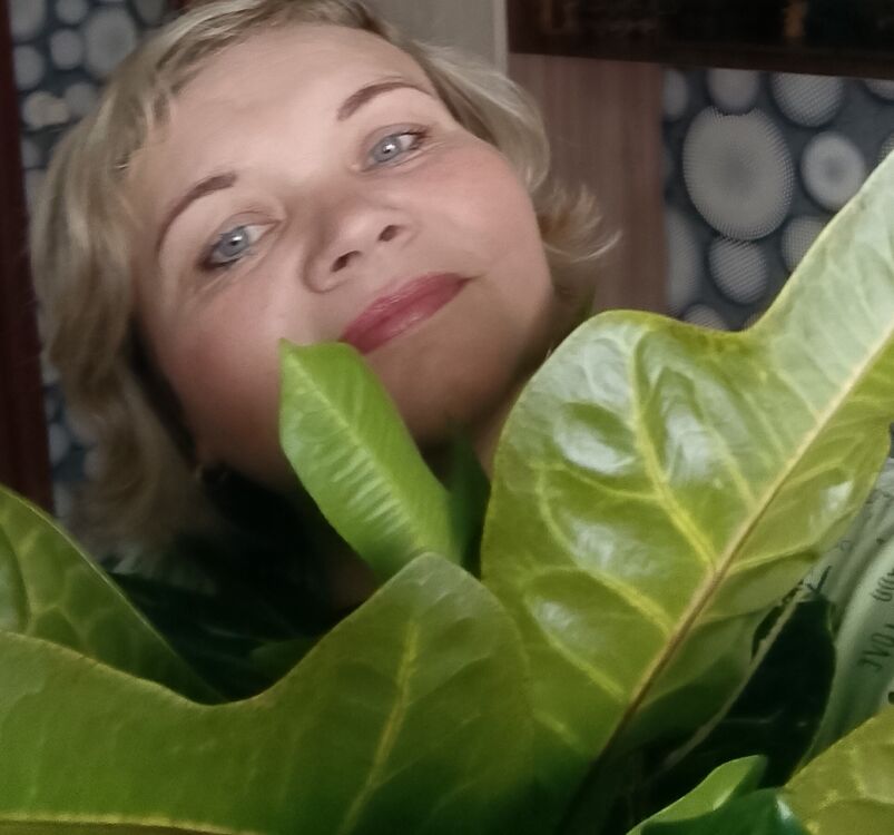 ���� 55147384 ������� �������, 48 ���, ���� ���������� � ������