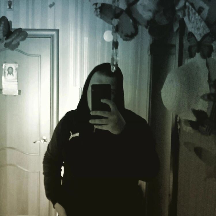  43046924  , 21 ,    