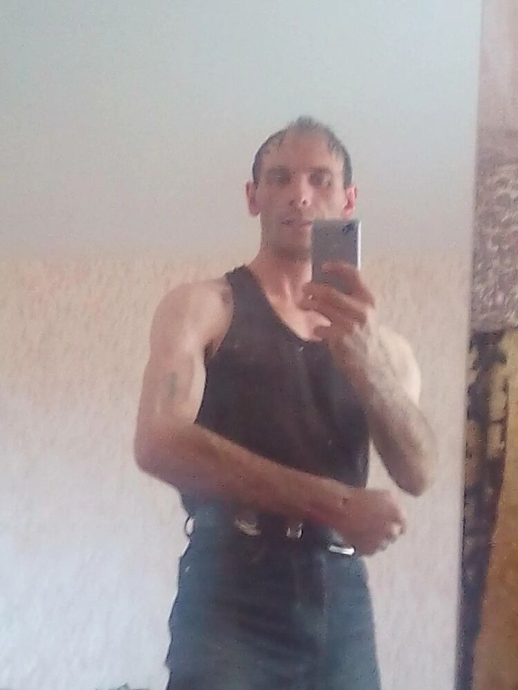  52534864  , 41 ,    -
