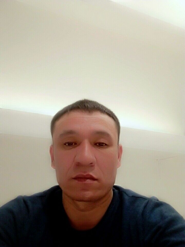  14628424  , 43 ,    