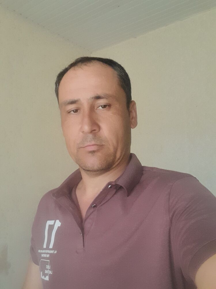  27558944  , 38 ,    