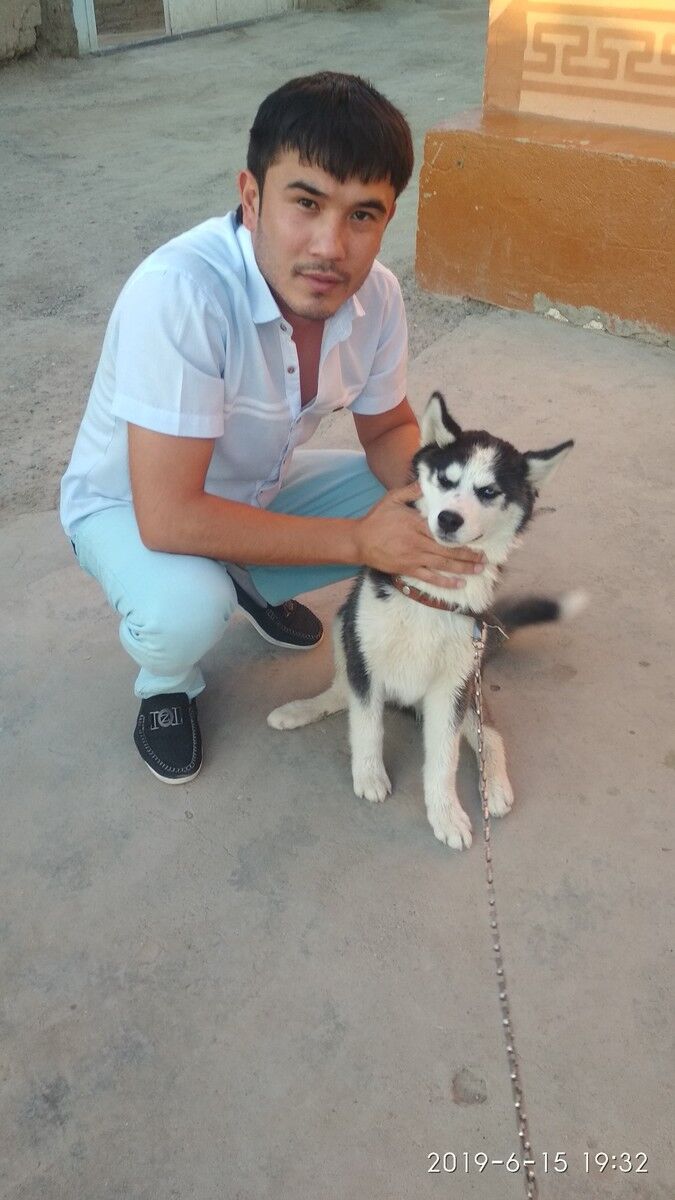  ,   Mc Don, 33 ,   ,   , c 