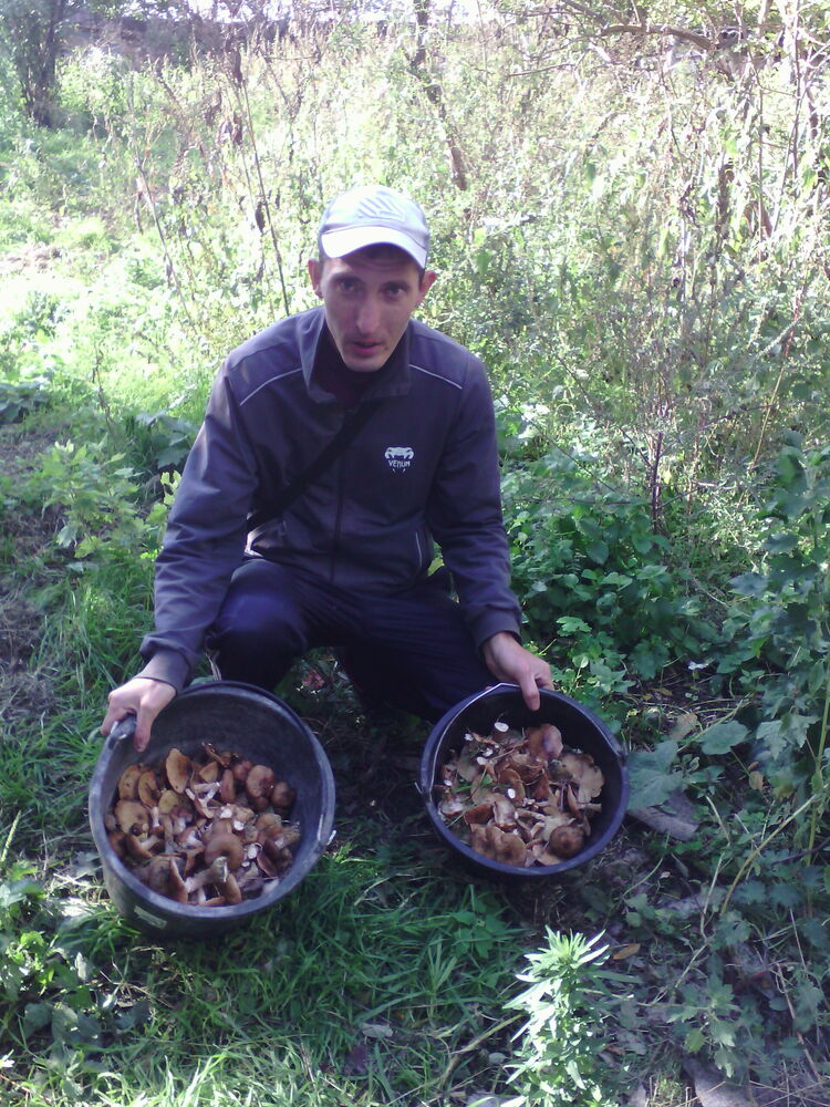 ���� 30885824 ������� ������, 35 ���, ���� ���������� � ������