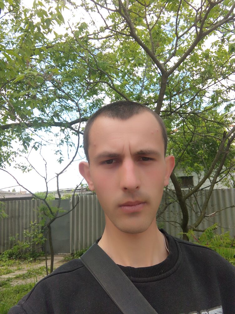  26590304  , 26 ,    