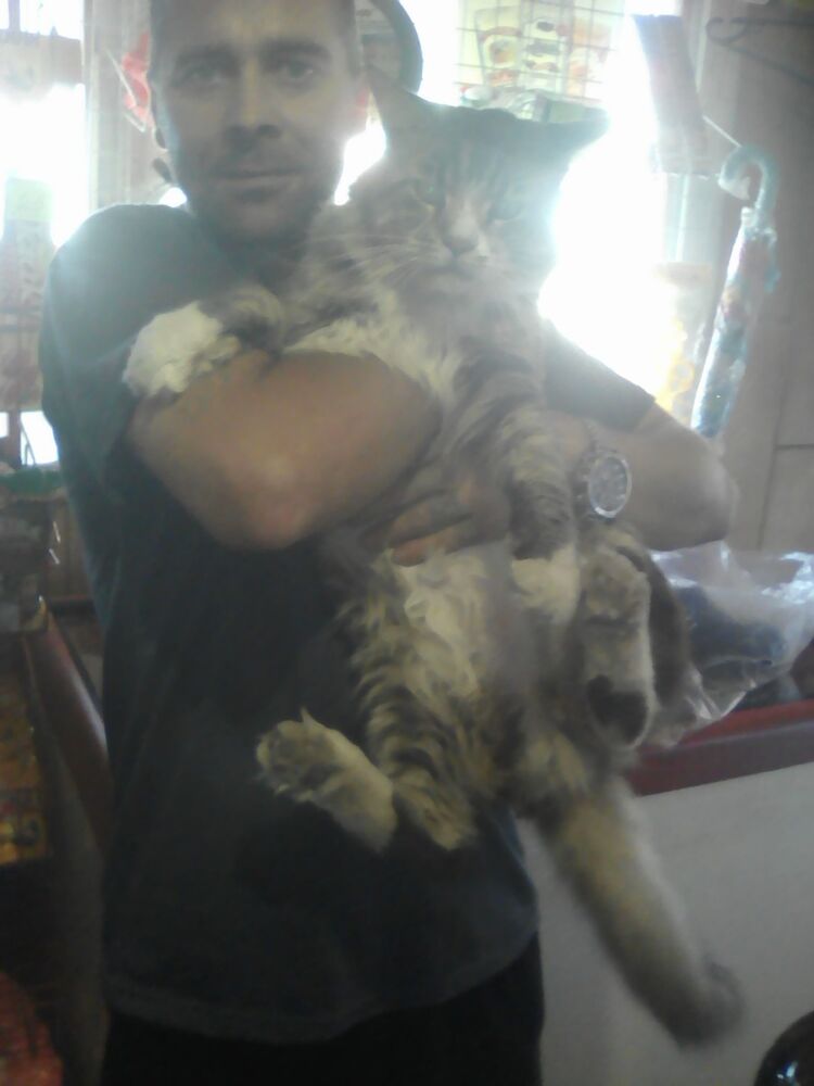  ,   , 45 ,   , 
