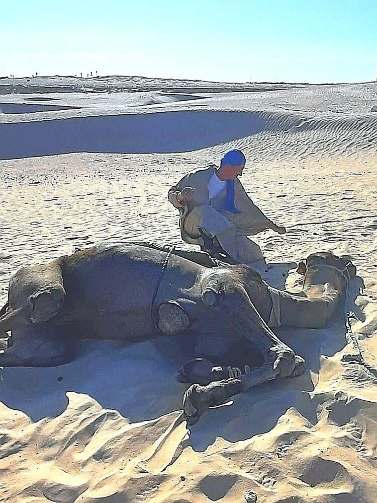  -,   , 49 ,   ,   , c 