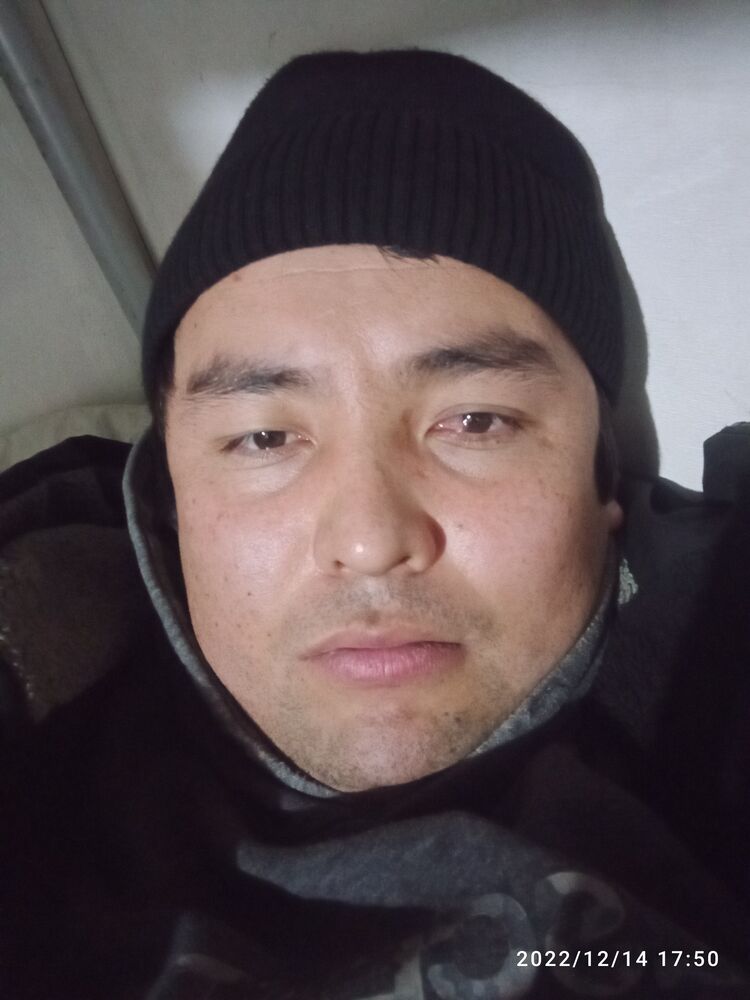  31265824  , 33 ,    