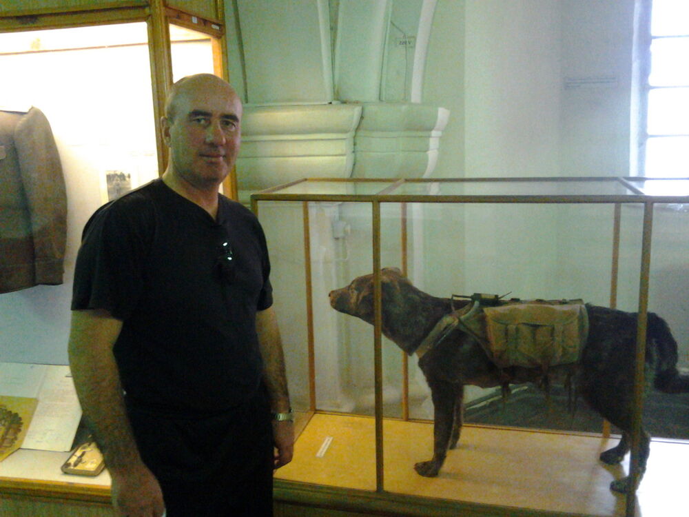 ���������� ��������, ���� ������� ������, 51 ���, ������������ ��� ������, ����� � ���������, c�������� ���������