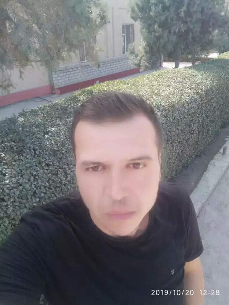  41027574  , 43 ,    -