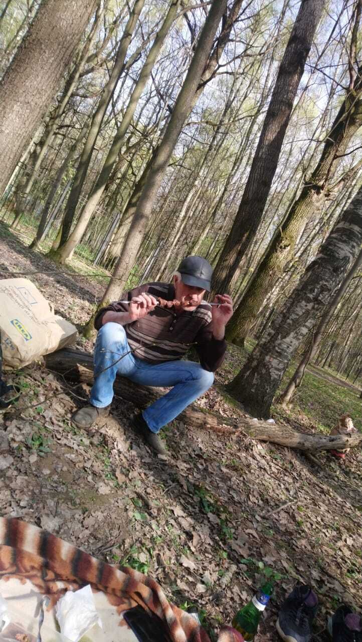  26688204  , 52 ,    