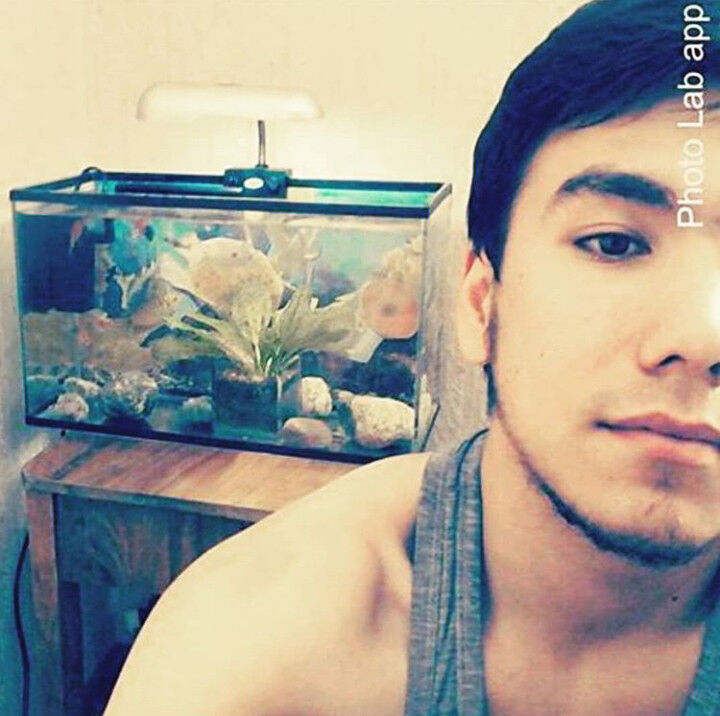 ���� 17532324 ������� ������, 32 ����, ���� ���������� � �������