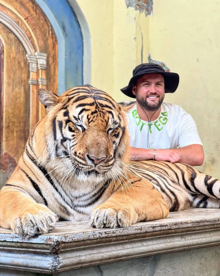 ���� 54888774 ������� ���������, 38 ���, ���� ���������� � ���������