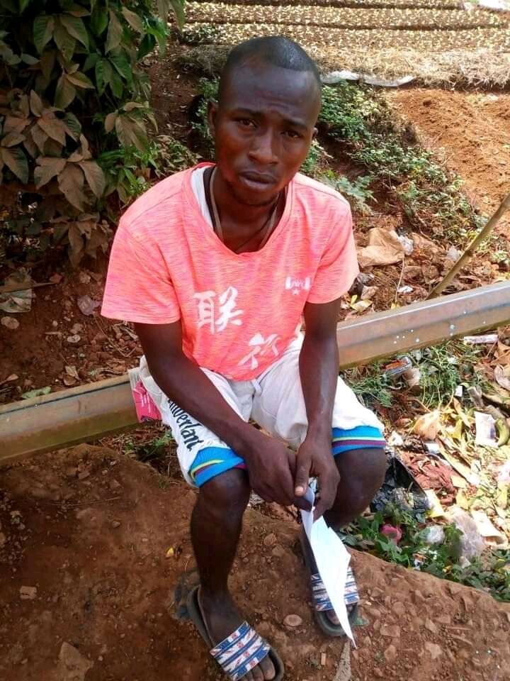 ���� 33851534 ������� ������, 40 ���, ���� ���������� � ������