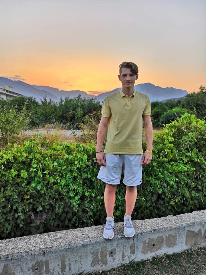  31344224  , 24 ,    -