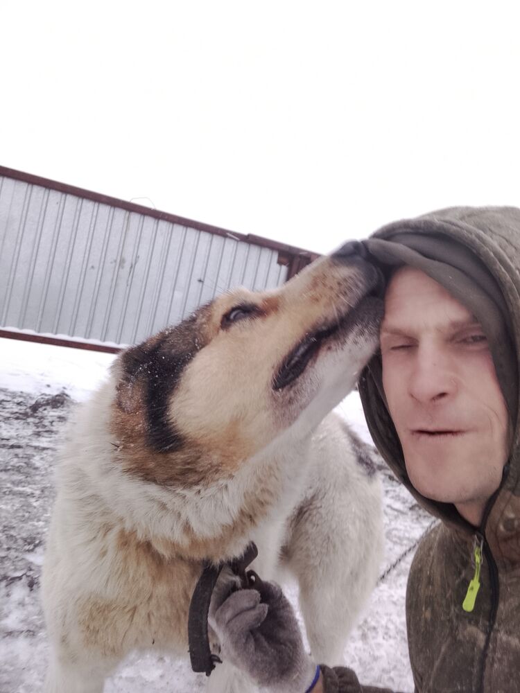 ���������� ��������, ���� ������� ��������, 41 ���, ������������ ��� c�������� ���������