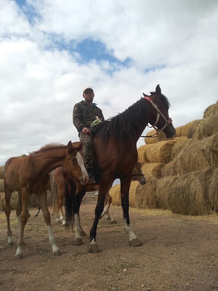 ���� 21624704 ������� ��������, 42 ����, ���� ���������� � ������